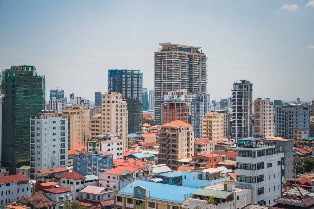 pexels photo 16018461